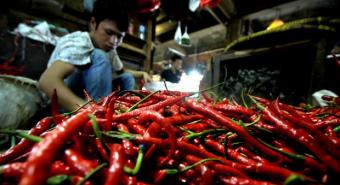 Bulog Gelontorkan Cabai Merah ke Pasar