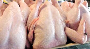 Harga Daging Ayam Turun 13,5%