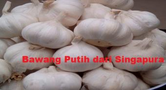 Bawang Putih dari Singapura