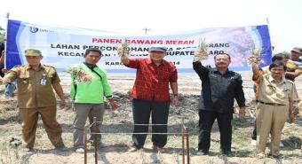 BI Jadikan Karo Pilot Project Penanaman Bawang Merah