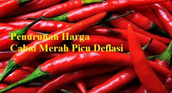 Penurunan Harga Cabai Merah Picu Deflasi