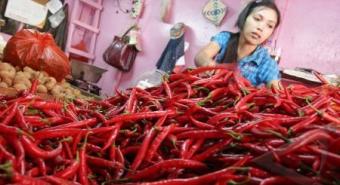 Harga Cabai Merah di Panyabungan Rp 20.000/Kg