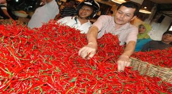 Harga Cabai Merah dan Tomat di Pasar Dairi Anjlok