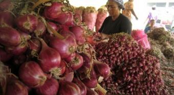 Harga Bawang dan Buah-buahan Naik