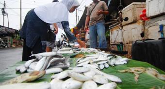 Harga Ikan Lokal di Pasaran Masih Tinggi