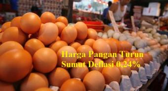 Harga Pangan Turun, Sumut Deflasi 0,24%