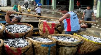 Harga Ikan Sulit Turun