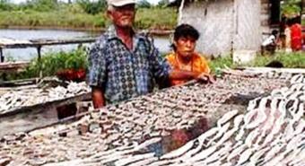 Pasokan Minim, Produksi Ikan Asin Cenat Cenut 