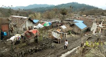 Kementan Siapkan Rp 103 Miliar untuk Korban Kelud