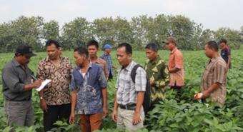 BPTP Sumatera Utara Mengadakan Pelatihan Penangkaran Benih Kedelai