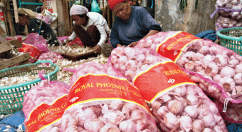 Ini Bedanya Bawang Putih Produksi RI dengan Tiongkok