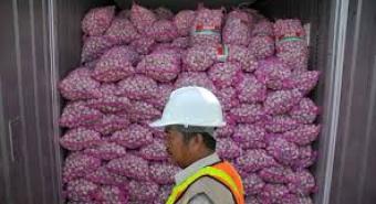 Petani Brebes Terjepit Bawang Impor