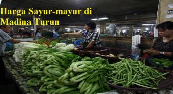 Harga Sayur-mayur di Madina Turun