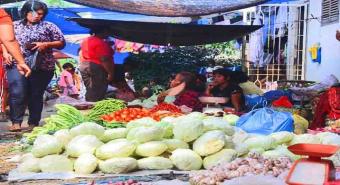 Harga Sayur di Sidikalang Mahal