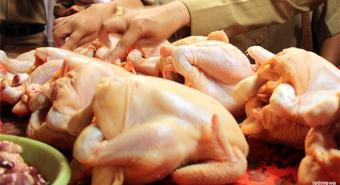 Pemerintah Diminta Stabilkan Harga Daging Ayam