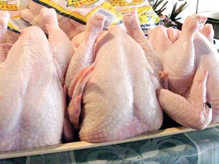 Harga Ayam Potong Stabil