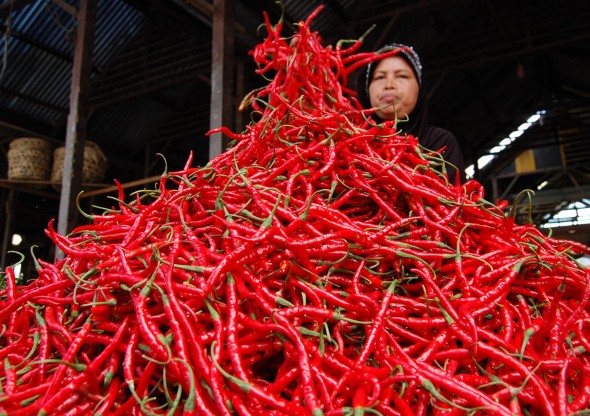 Harga Cabai Merah Relatif Stabil