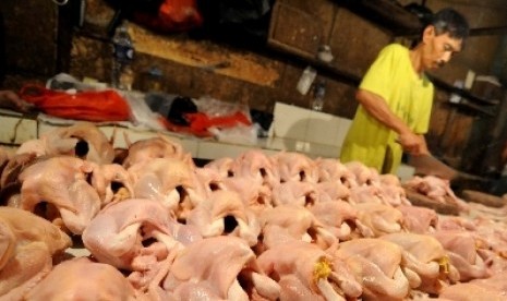 Harga Daging Ayam Turun