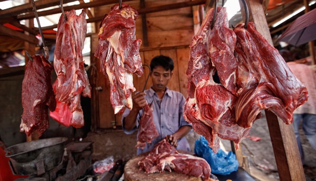 Tahun 2013, Produksi Daging Sapi NTB Sebesar 14,277 Ton