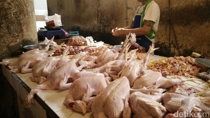 Pemerintah Jamin Daging Ayam Brasil Nggak Bakal Banjiri RI