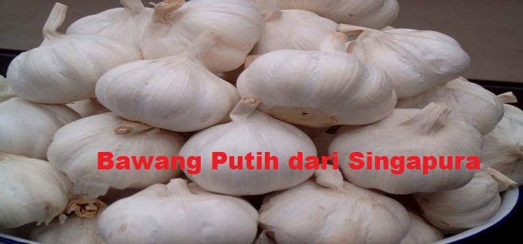 Bawang Putih dari Singapura