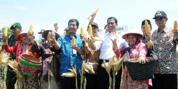 Bulog Jadi Importir Tunggal Jagung