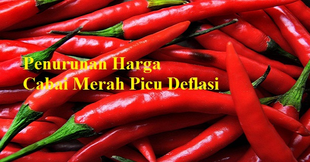 Penurunan Harga Cabai Merah Picu Deflasi