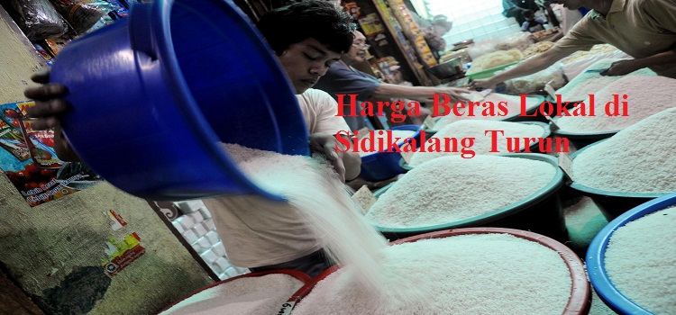 Harga Beras Lokal di Sidikalang Turun