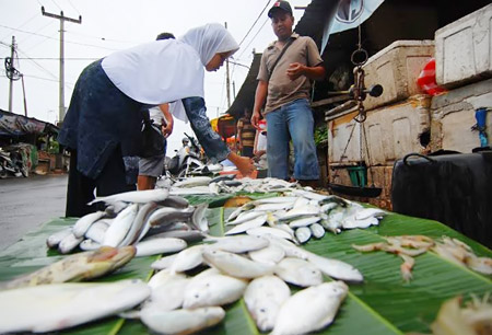Harga Ikan Lokal di Pasaran Masih Tinggi