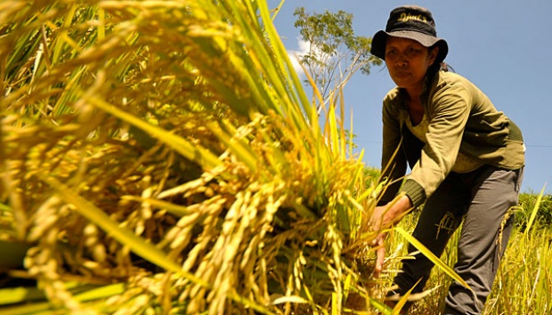 Harga Pangan Turun, April Diperkirakan Deflasi