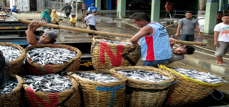 Harga Ikan Sulit Turun