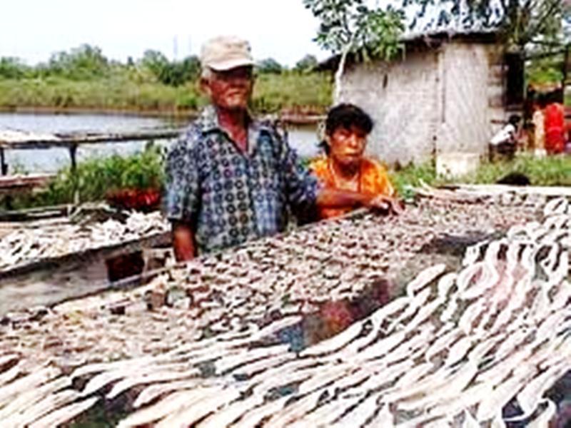 Pasokan Minim, Produksi Ikan Asin Cenat Cenut 