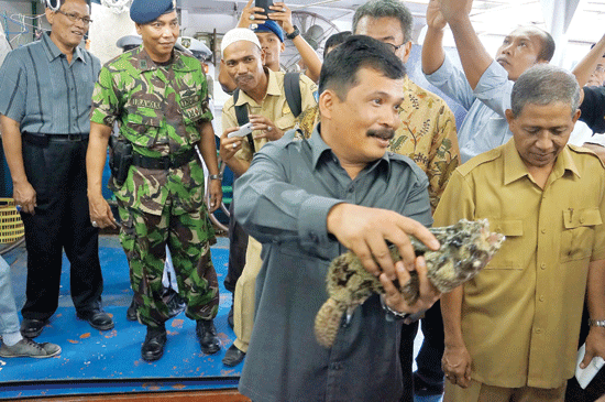 Hongkong Siap Tampung Ikan Kerapu Aceh