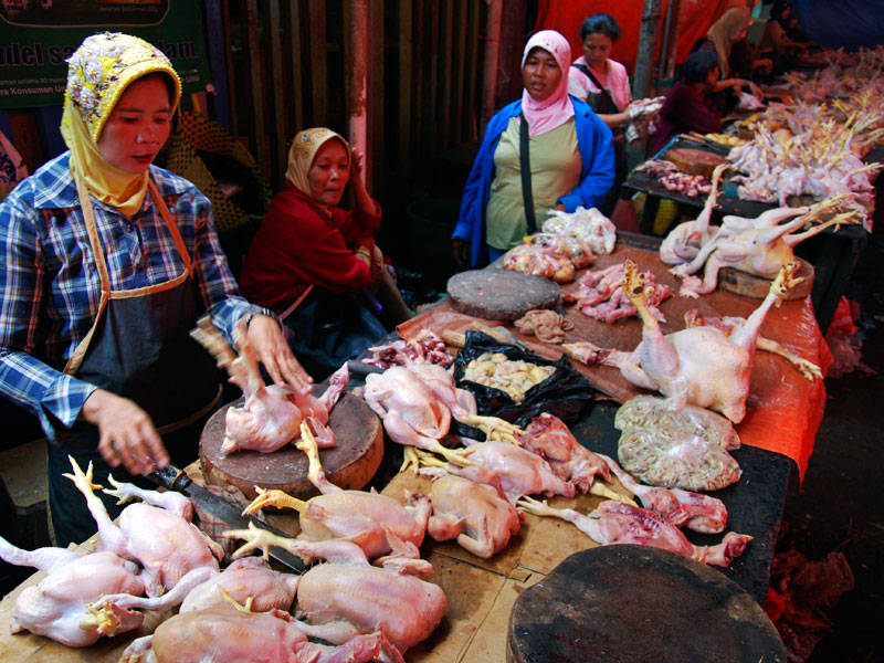 Harga Ayam Potong di Panyabungan Stabil