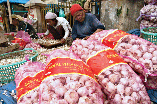 Ini Bedanya Bawang Putih Produksi RI dengan Tiongkok