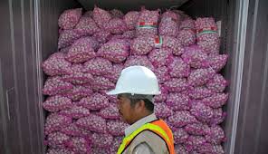 Petani Brebes Terjepit Bawang Impor