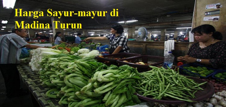 Harga Sayur-mayur di Madina Turun