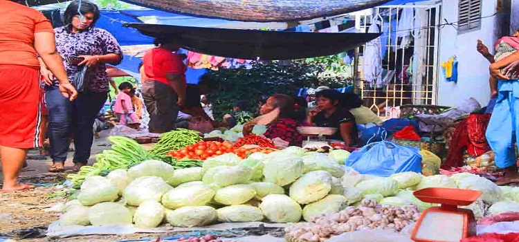 Harga Sayur di Sidikalang Mahal