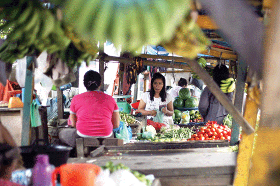 Harga Sayuran Turun