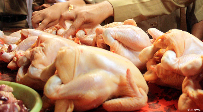 Pemerintah Diminta Stabilkan Harga Daging Ayam